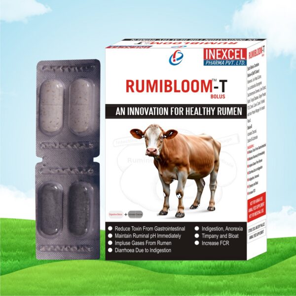 RUMI BLOOM-T BOLUS
