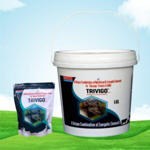 TRIVIGO POWDER